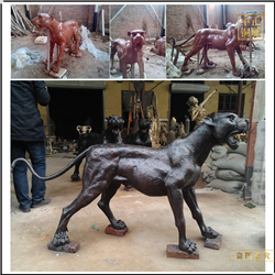 定制金錢(qián)豹價(jià)格